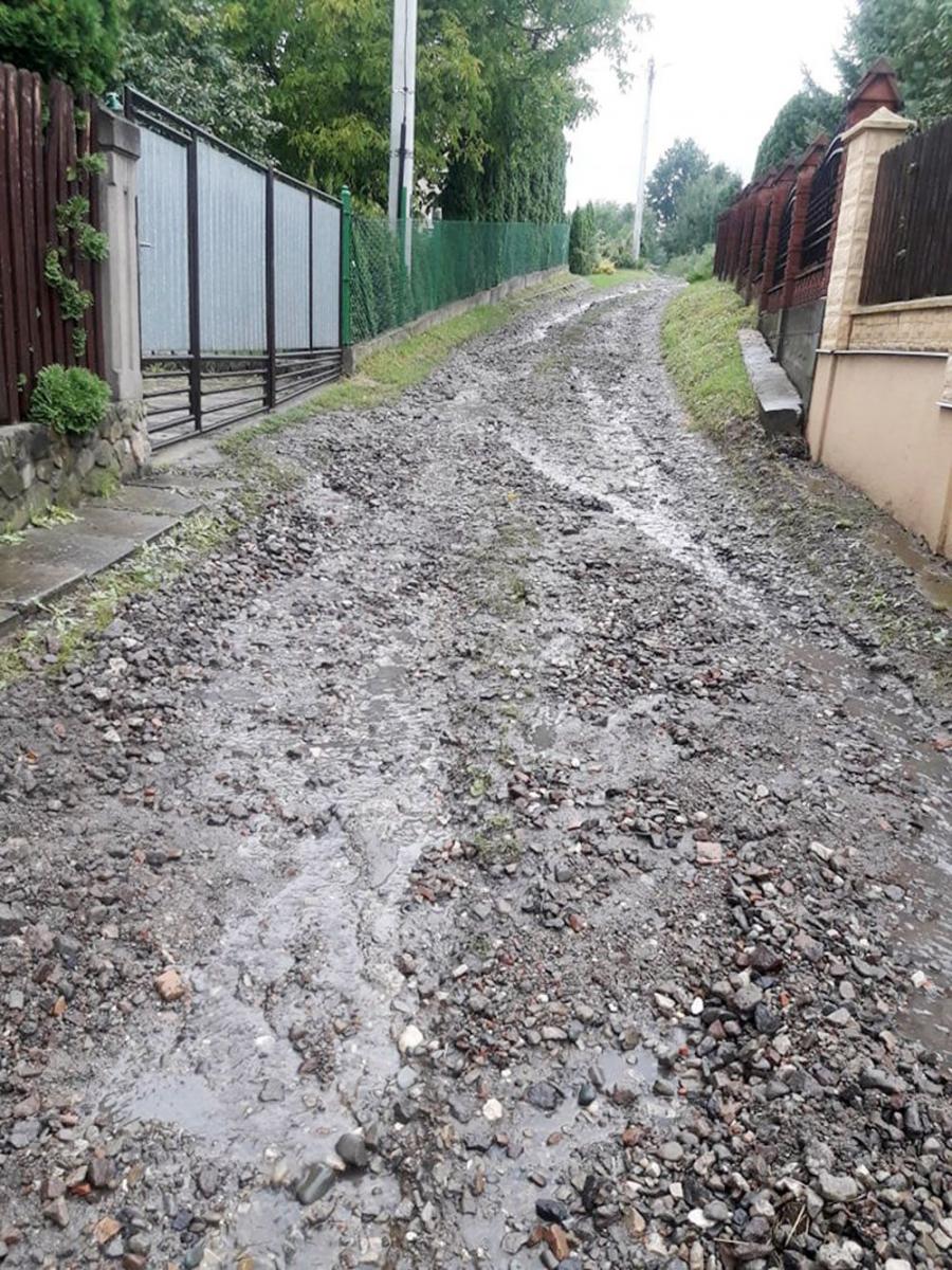 Kuriozalna sytuacja na ulicy Kościuszki w  Żurawicy
