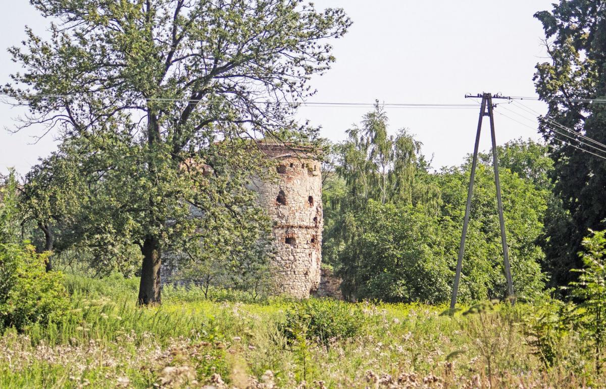 Zabiegają o 3 mln zł na stworzenie ogrodu botanicznego!