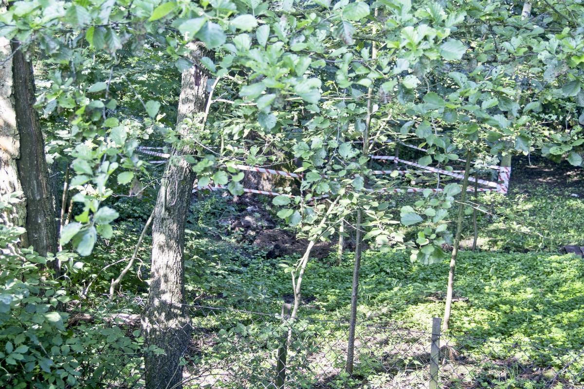 Ulatniał się gaz. Ewakuowano ponad 50 osób z 16 budynków