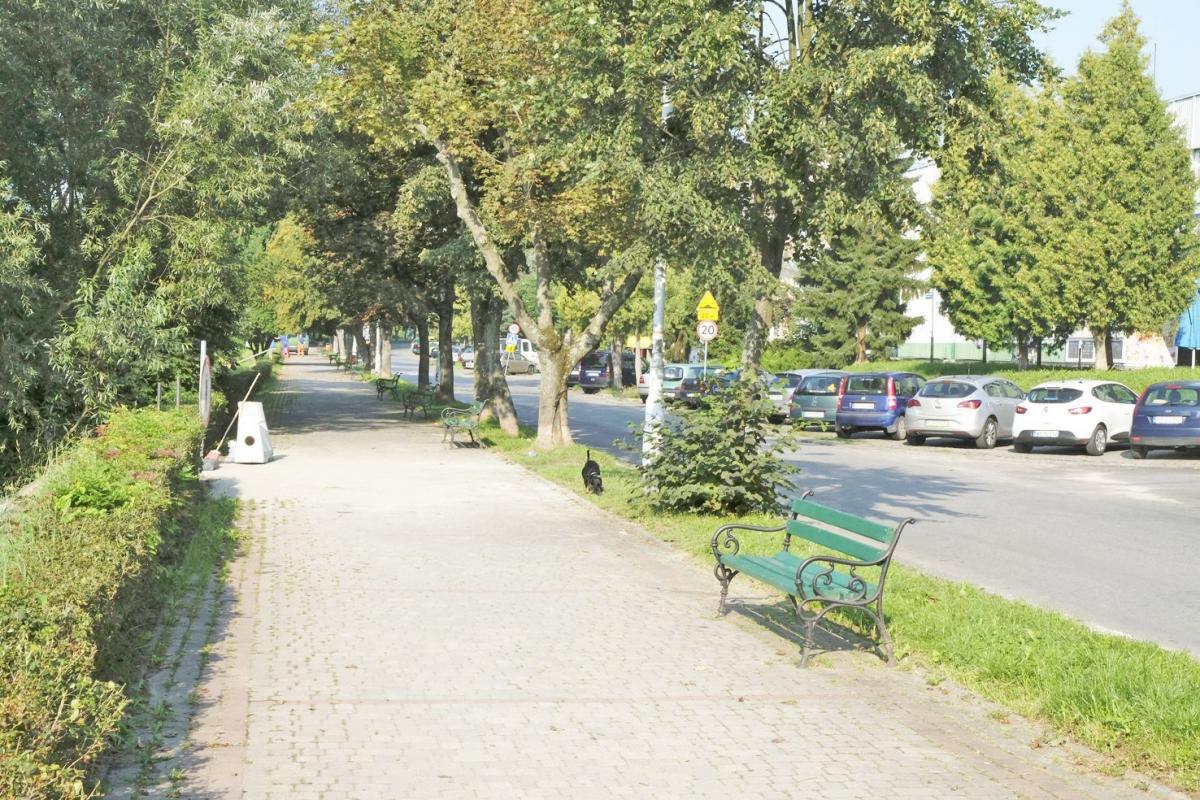 Dotkliwie pobity podczas zaćmienia księżyca