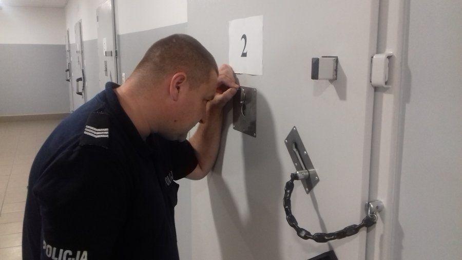 Odpowie za znieważenie policjantów