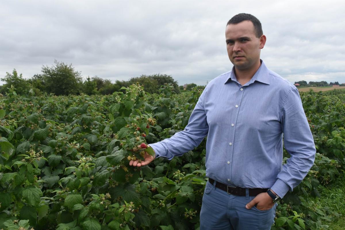 Plantatorzy owoców w dramatycznej sytuacji. Ceny drastycznie niskie