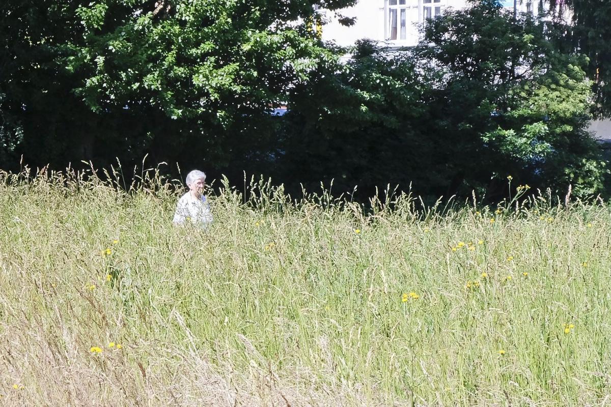 „Dzikie pola” w mieście. Problemy mieszkańców przemyskiego Popielowa