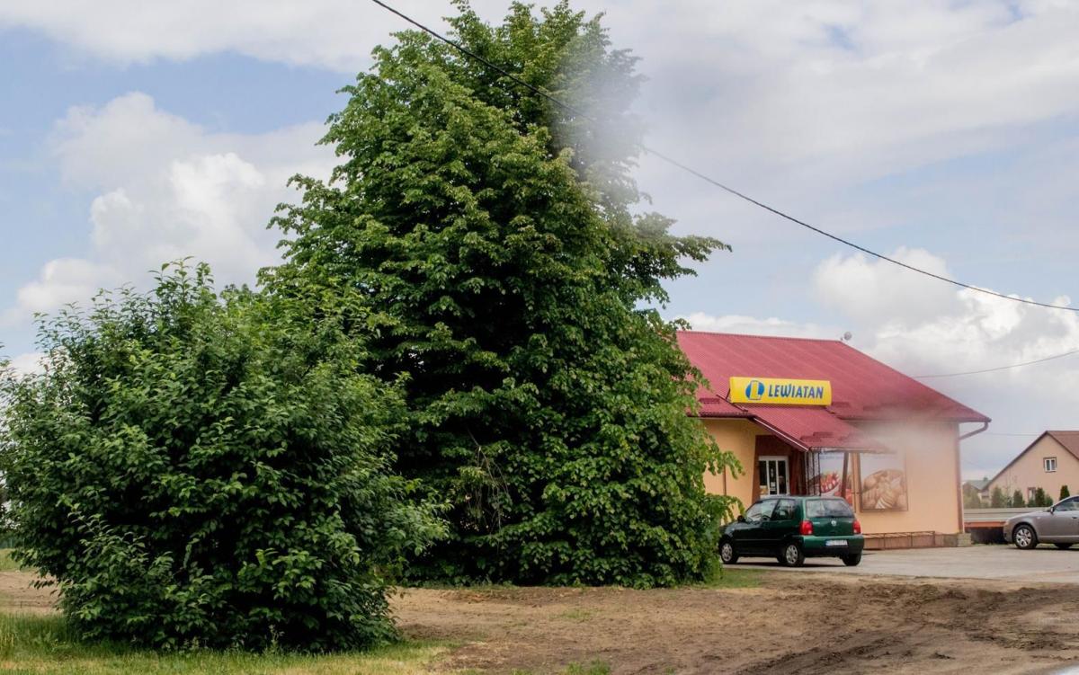 Kto kogo pobił? Radny prezesa czy prezes radnego?