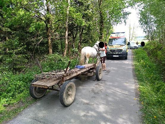 Na drodze stał zaprzęg, a w wozie spał pijany woźnica