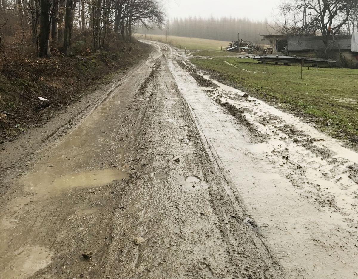 Mieszkańcy Zalesia toną w bagnie