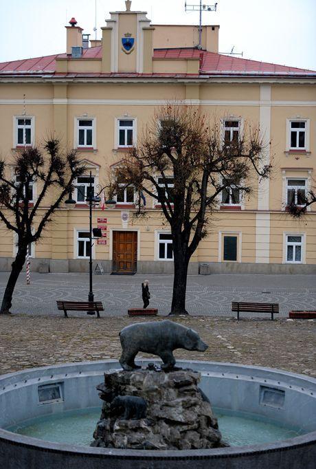 Krewki przemyślanin rzucał kamieniami w elewację magistratu 