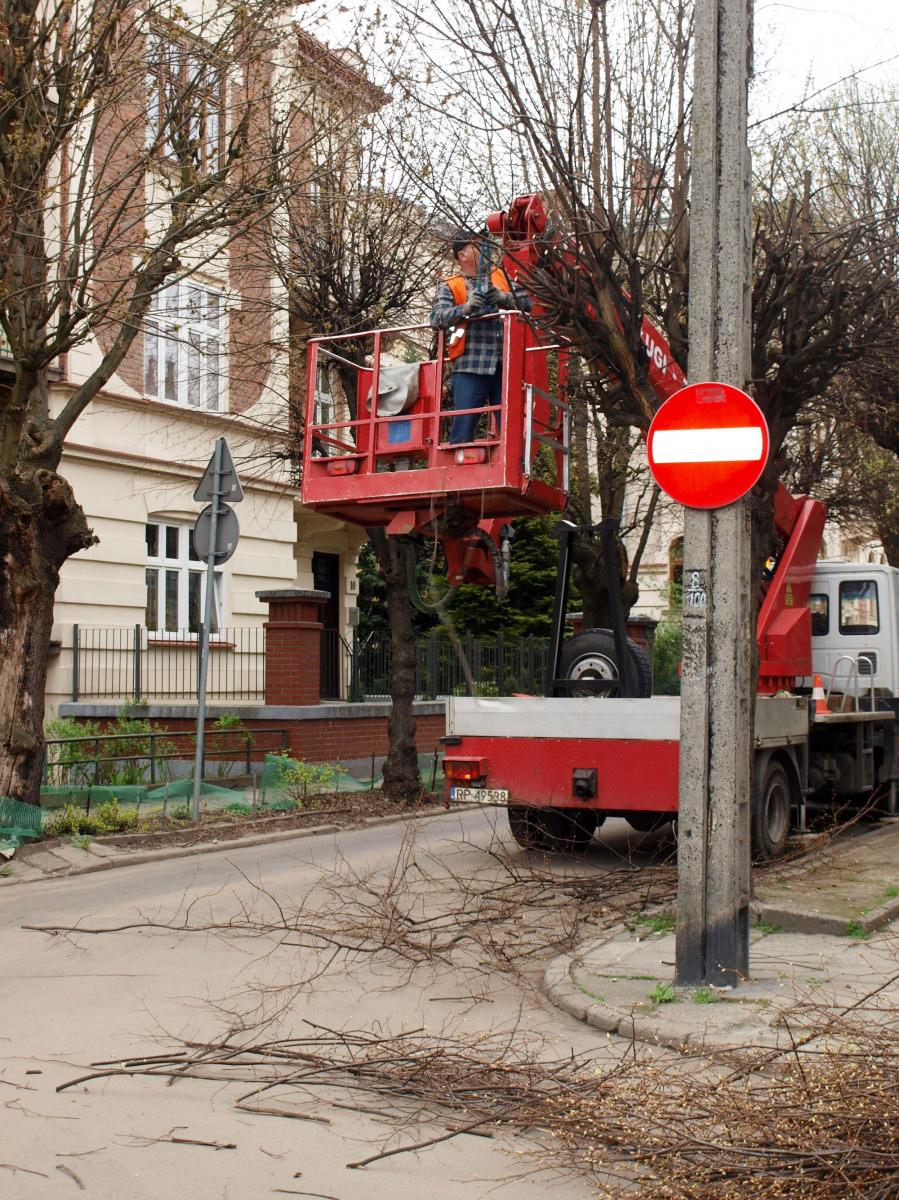 „Masakra” drzew po przemysku czy normalne cięcie?