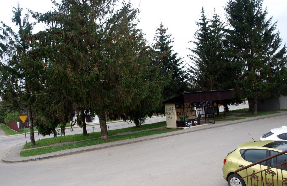 Obok urzędu powstanie plac imienia Aleksandra Fredry