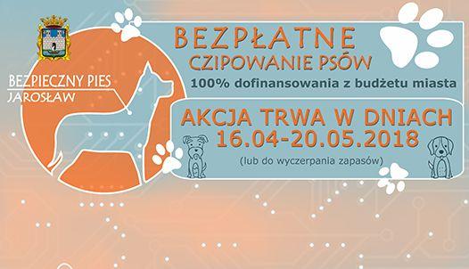 Dziś rusza akcja bezpłatnego czipowania psów