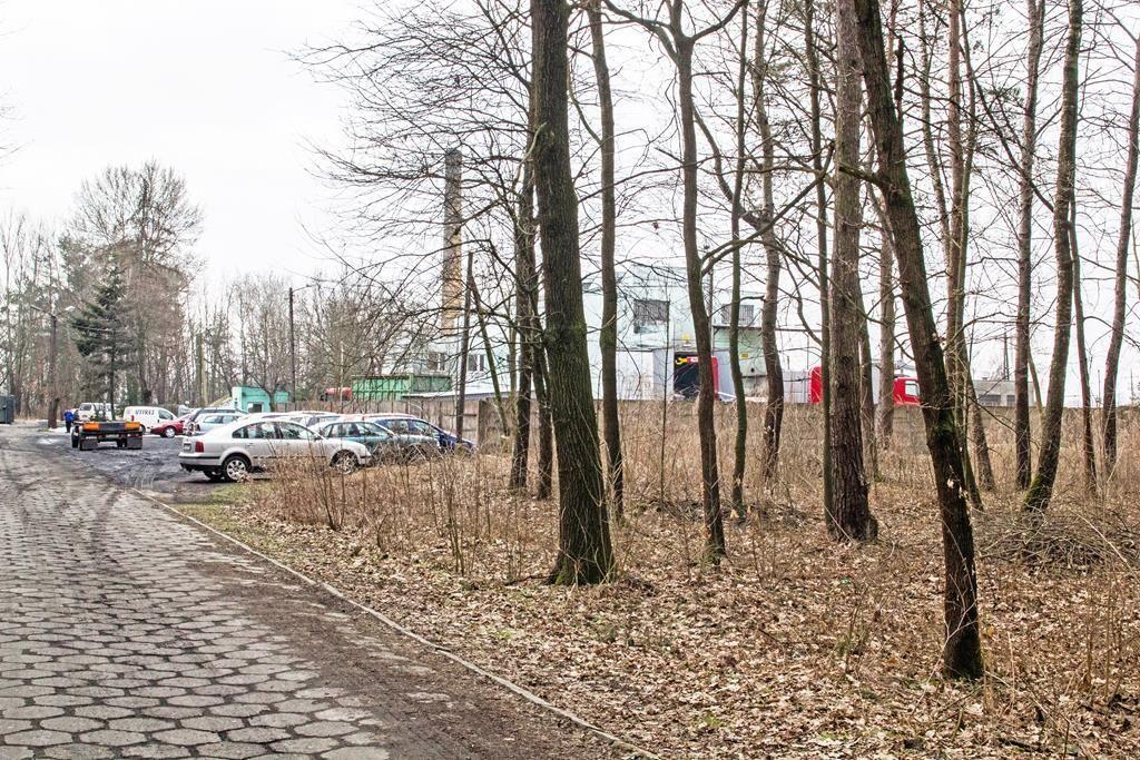 Nie truje, ale czy śmierdzi? Nowe fakty w sprawie leżachowskich inwestycji