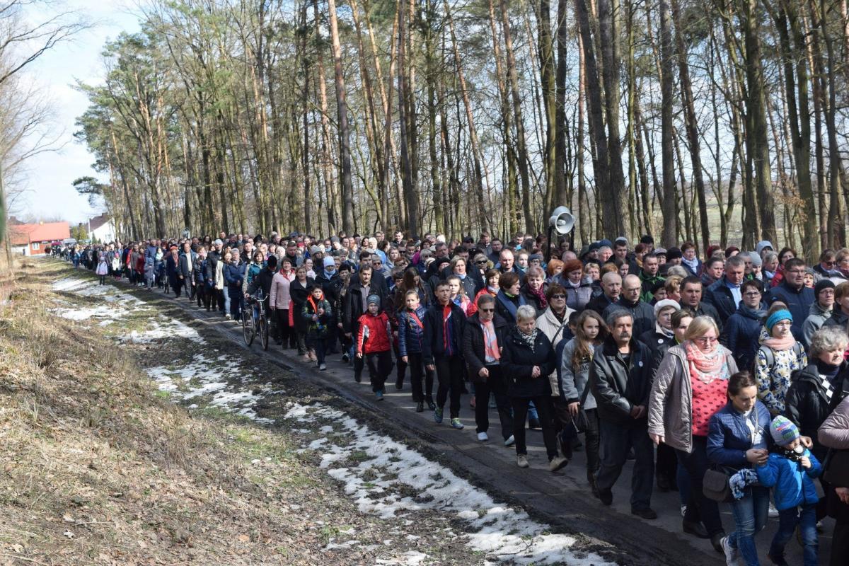 Tysiąc pątników na drodze krzyżowej