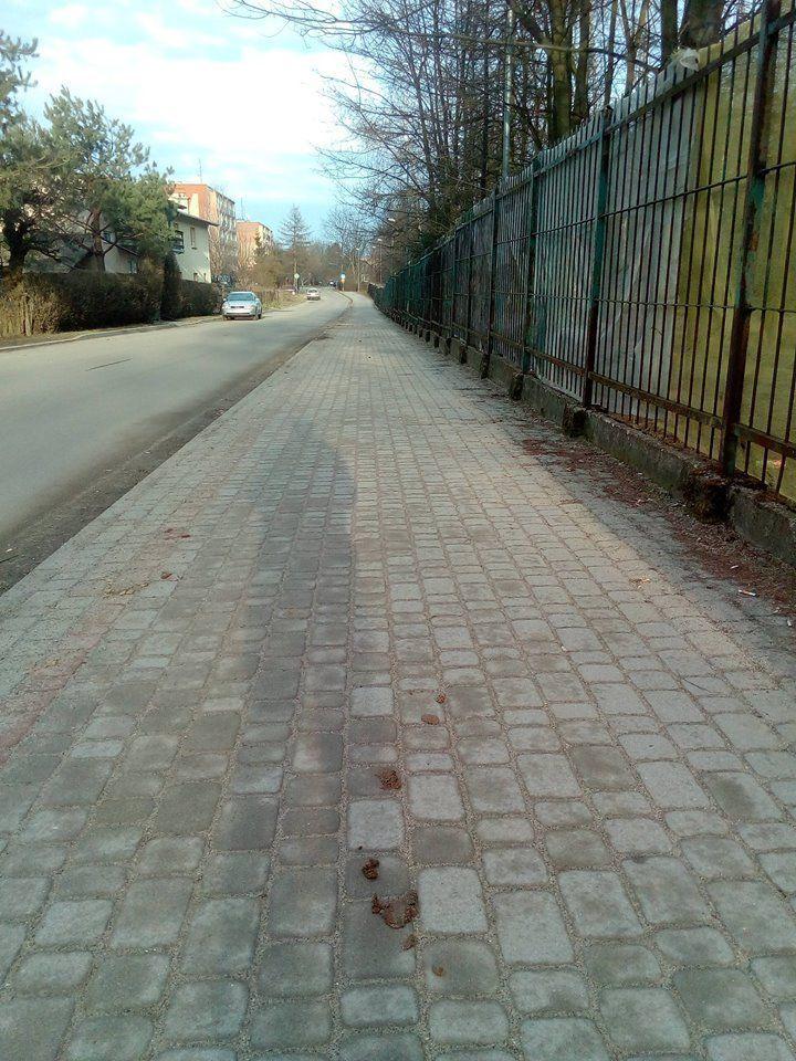 Psie kupy na chodnikach. Monitoring pomoże ścigać ignorujących przepisy