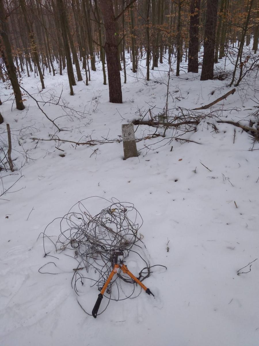 Strażnicy znaleźli wnyki