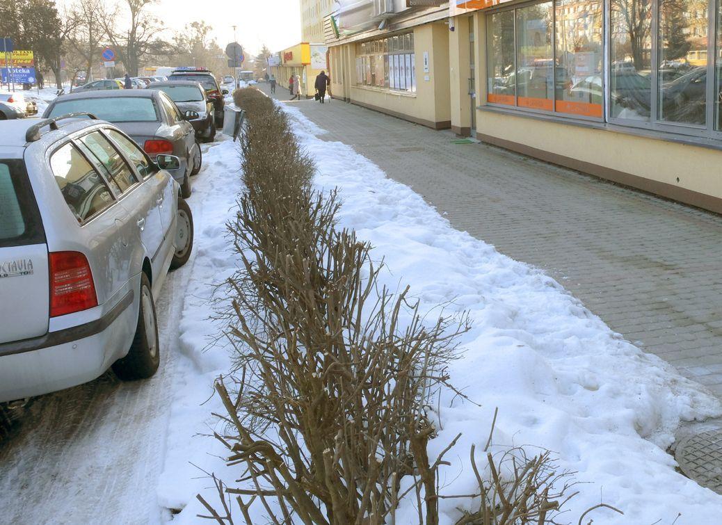 Na Grunwaldzkiej widziano ekshibicjonistę