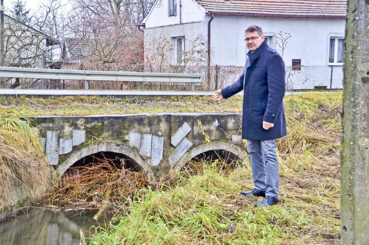Bobry utrapieniem mieszkańców. 3500 zwierząt do odstrzału