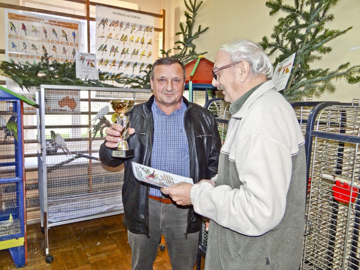 Kardynały, amadyny i rozelle. Skrzydlate piękności jakich mało