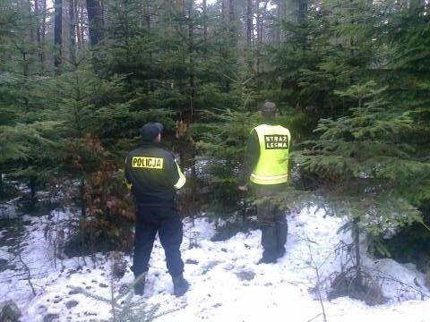 Policjanci i leśnicy patrolują lasy