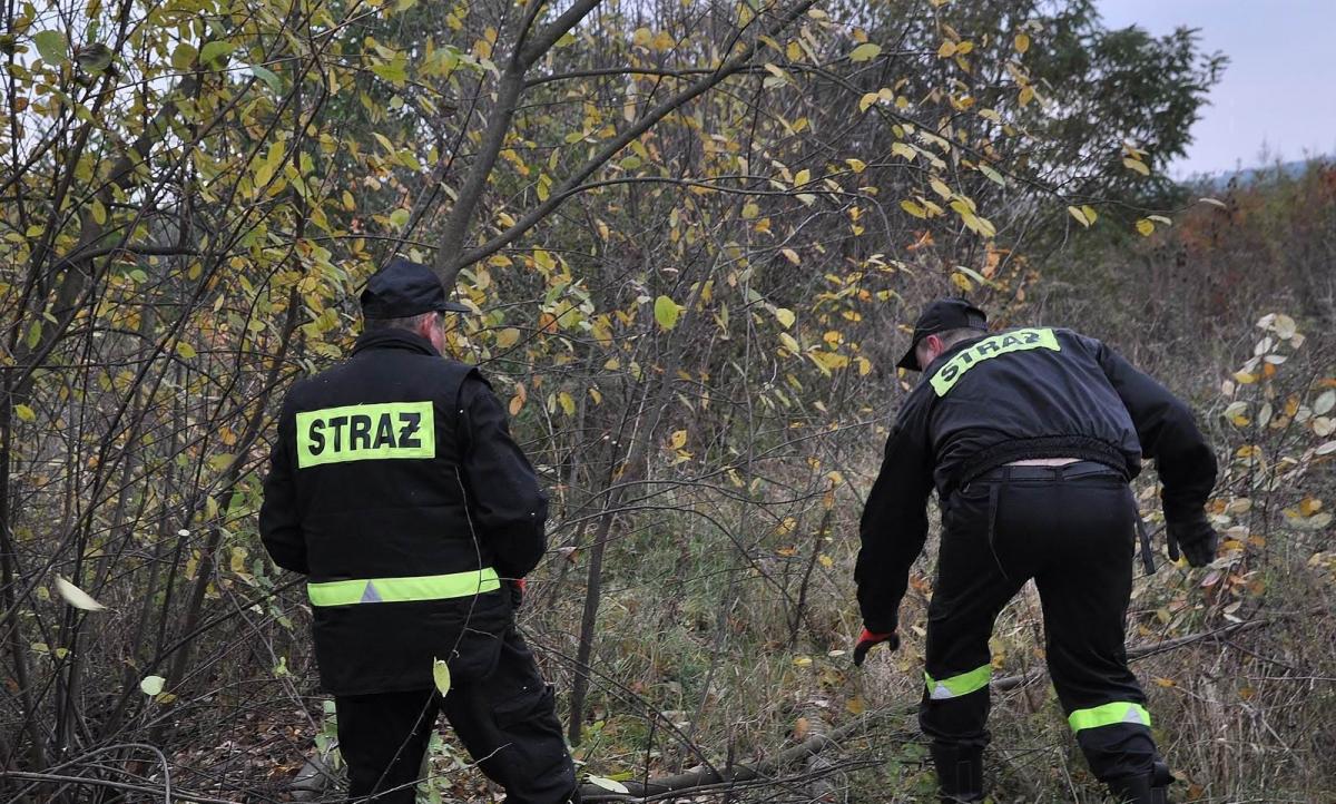 Sezon na zaginięcia w pełni. Uważaj, gdy idziesz do lasu