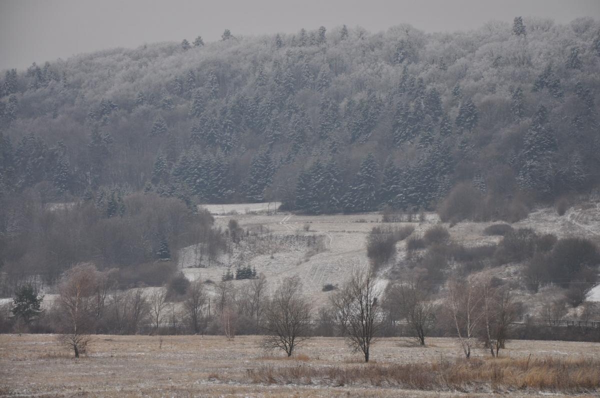 Uwaga! Może spaść pierwszy śnieg
