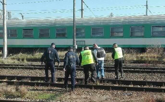 Policjanci, strażnicy miejscy i sokiści w akcji „Semafor”