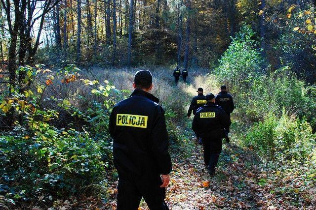 Tragiczny finał poszukiwań. Ciało znaleziono w lesie