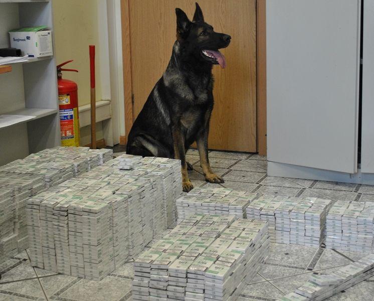 Czujne nosy Arisa i Inki wykryły przemycane papierosy
