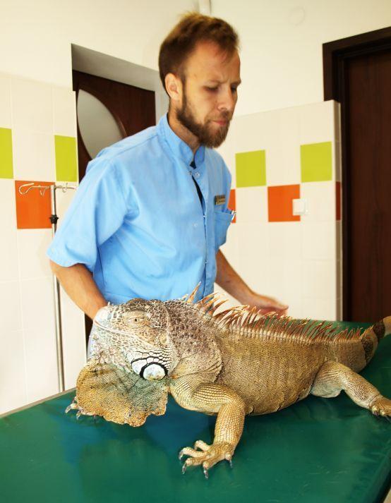 Leoś był ozdobą przemyskiego baru. Teraz czeka na nowy dom