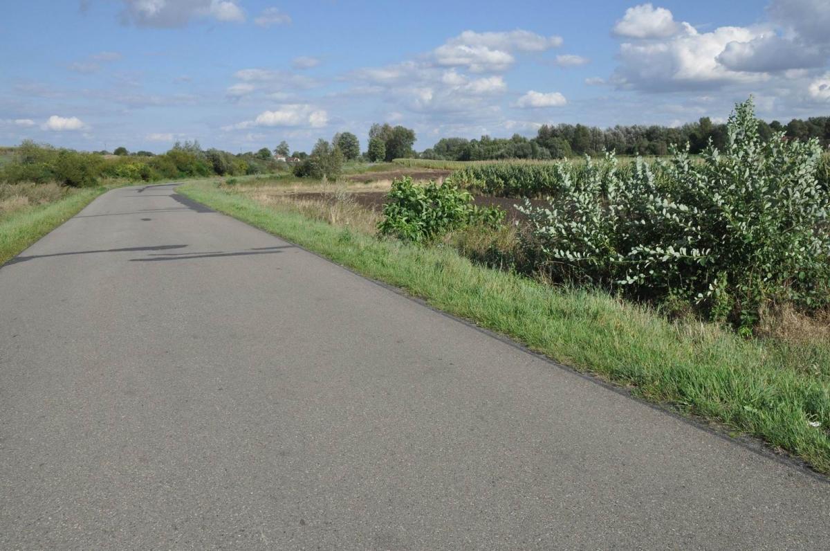 Motocykliści pobili 60-latka