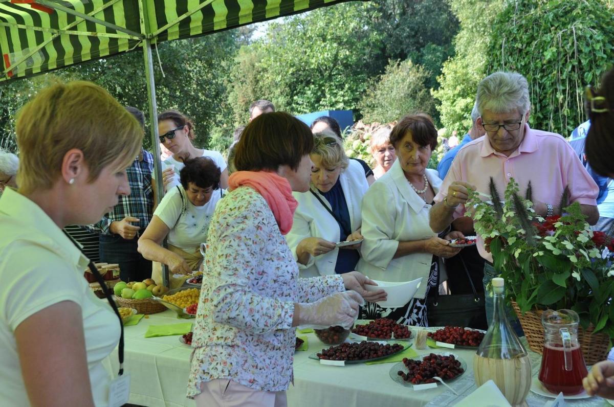Dereń – roślina mało znana. Ale festiwal przyciąga tłumy [ZDJĘCIA]