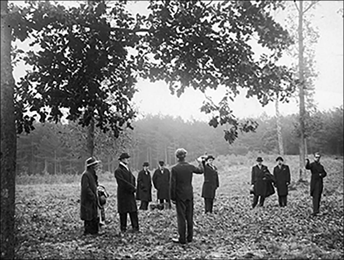 Ostatni pojedynek w Przemyślu. Rok 1914, Góra Zamkowa
