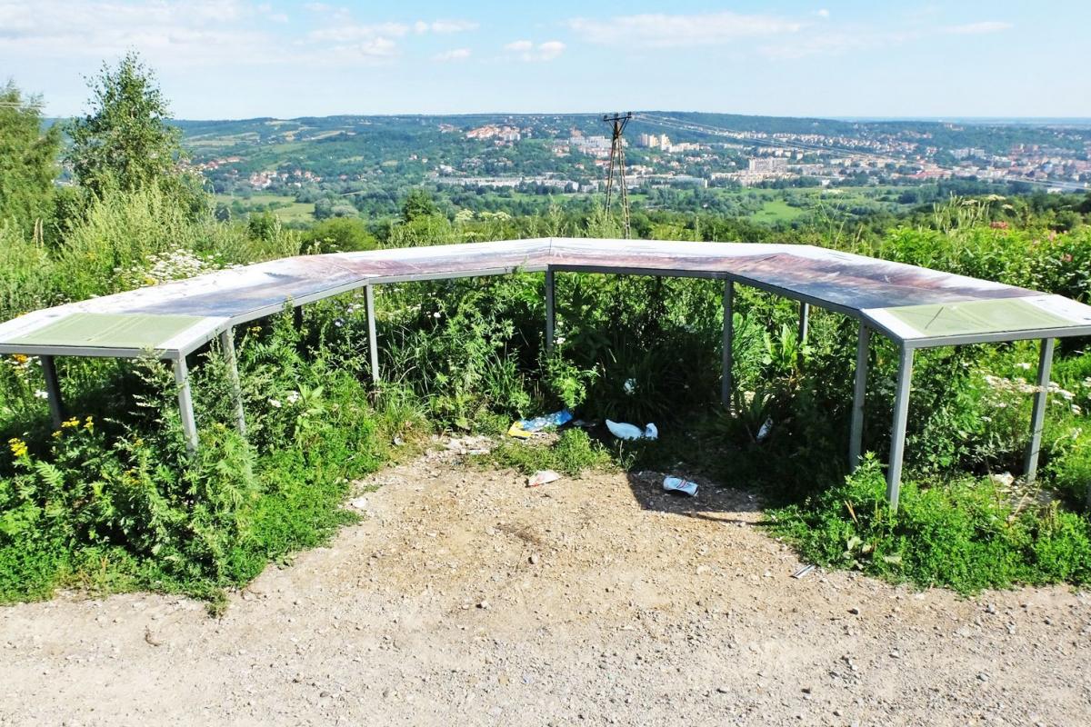 Okiem czepialskiego: Bujne trawy powoli zarastają panoramę