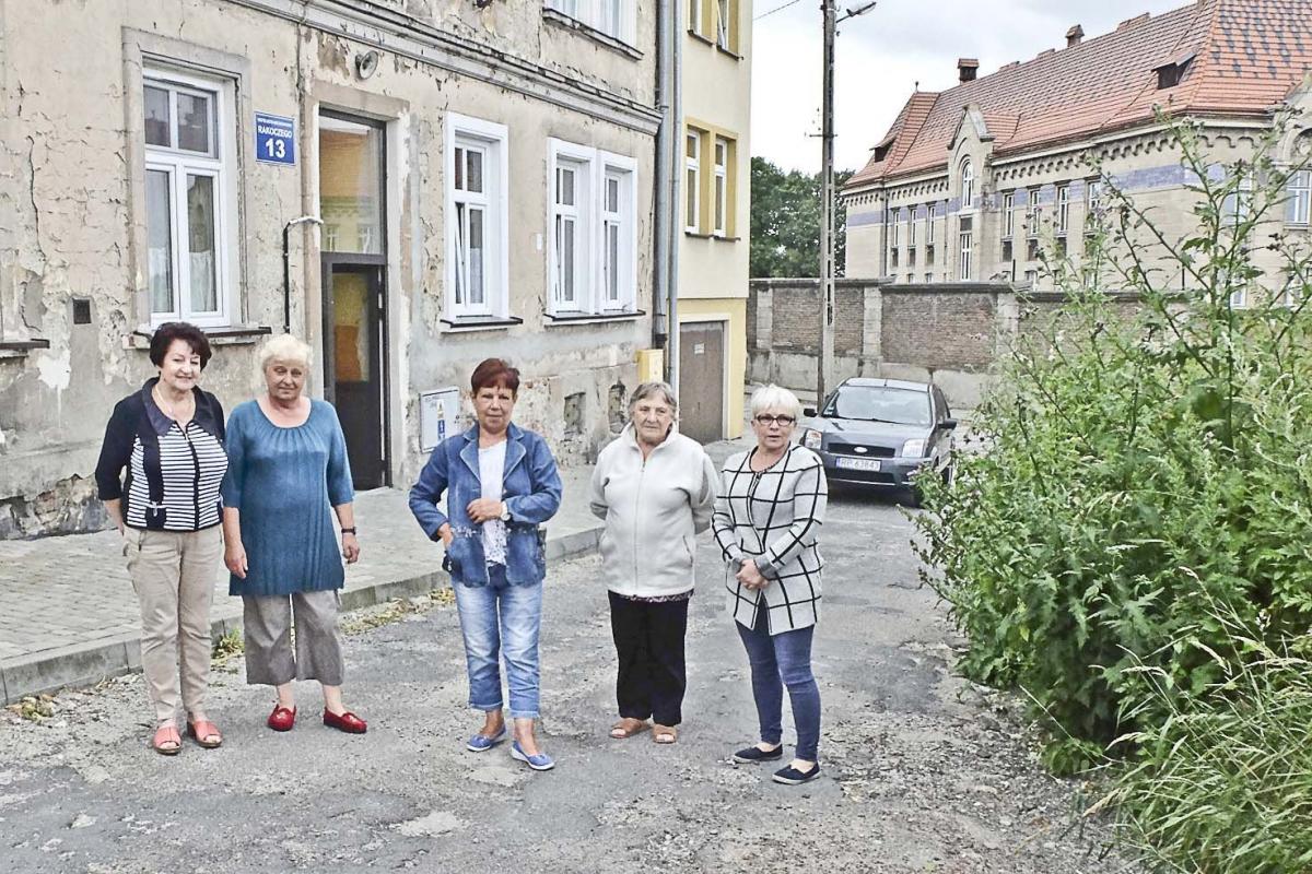 Dżungla przed oknami kamienicy przy Rakoczego