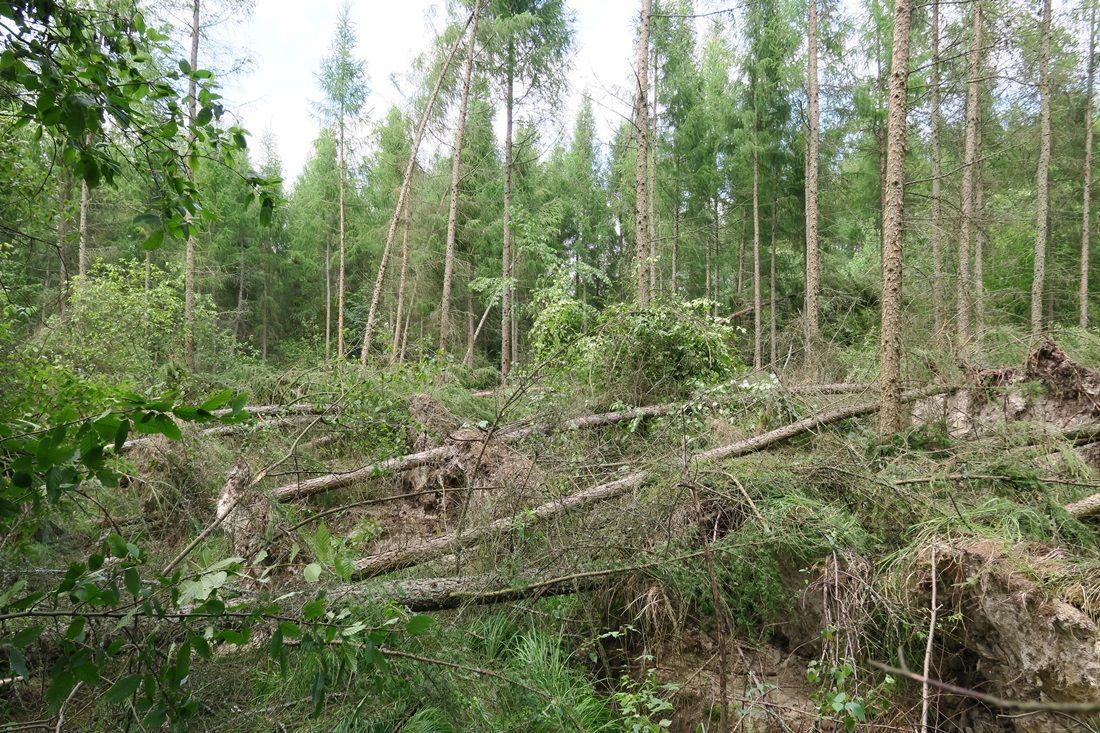 Trwa usuwanie skutków nawałnic [ZDJĘCIA]