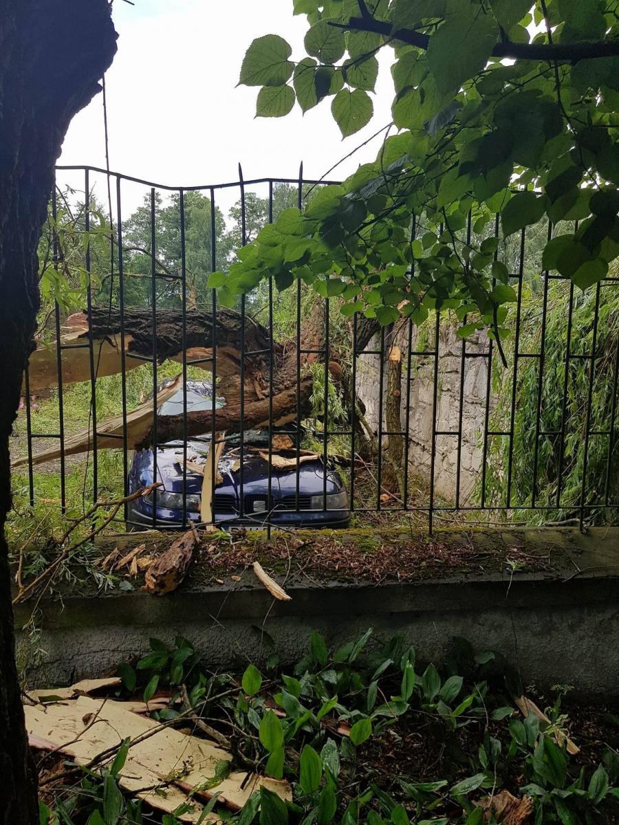 Wyłamane drzewa, uszkodzone auta [ZDJĘCIA]