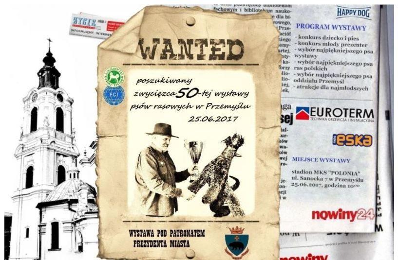 Psie piękności w Przemyślu