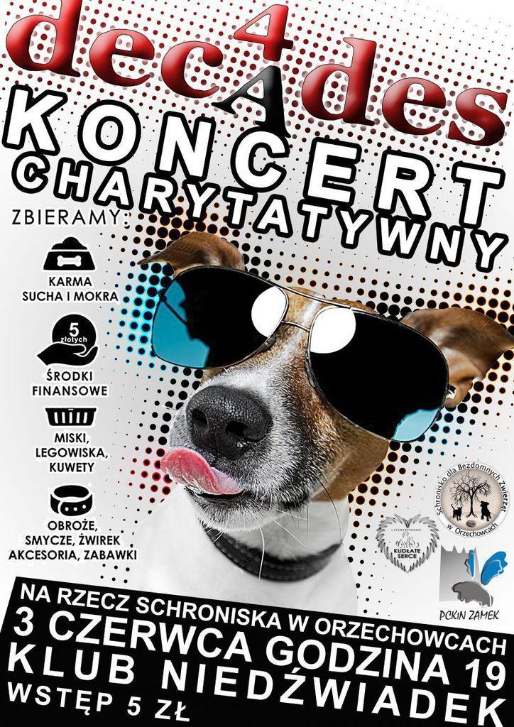Przyjdź na koncert, wspomóż bezdomne zwierzaki!