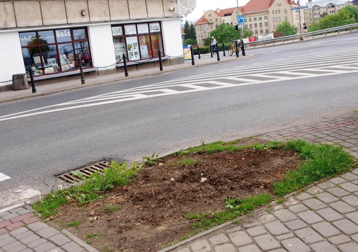 Ktoś „pomaga” więdnąć drzewom?
