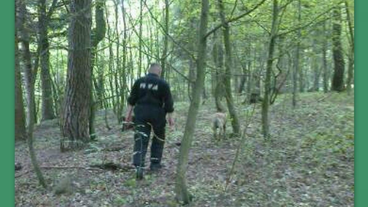 250 osób wciąż poszukuje Joanny Hamryszczak [ZDJĘCIA]