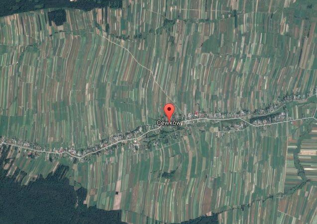 O rolnictwie „wstążeczkowym”