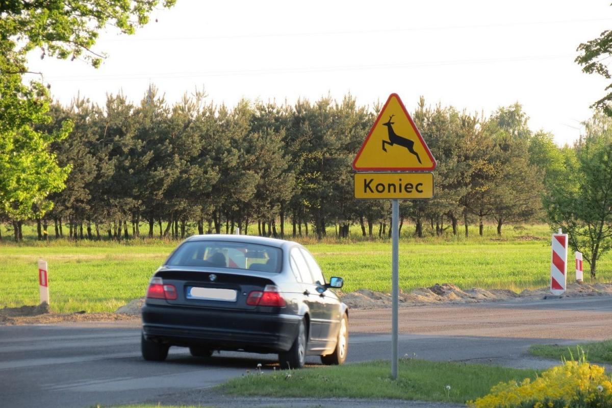 Kierowcy! Uwaga na dzikie zwierzęta