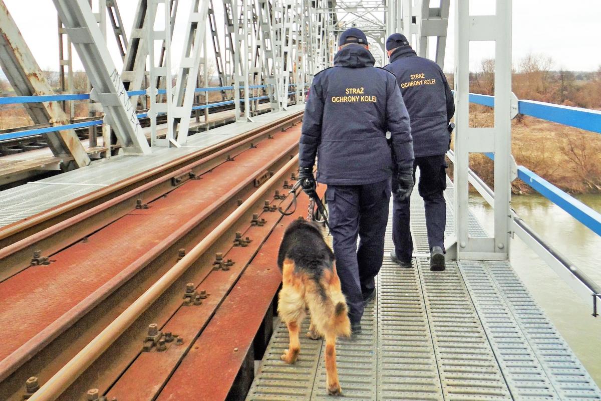 Pijany przemytnik przemykał pod wagonami