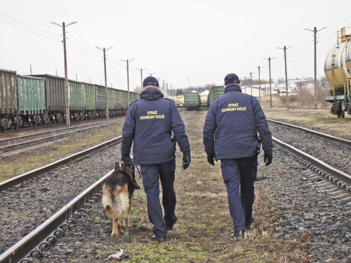 Fotopułapka zdemaskowała złodzieja złomu