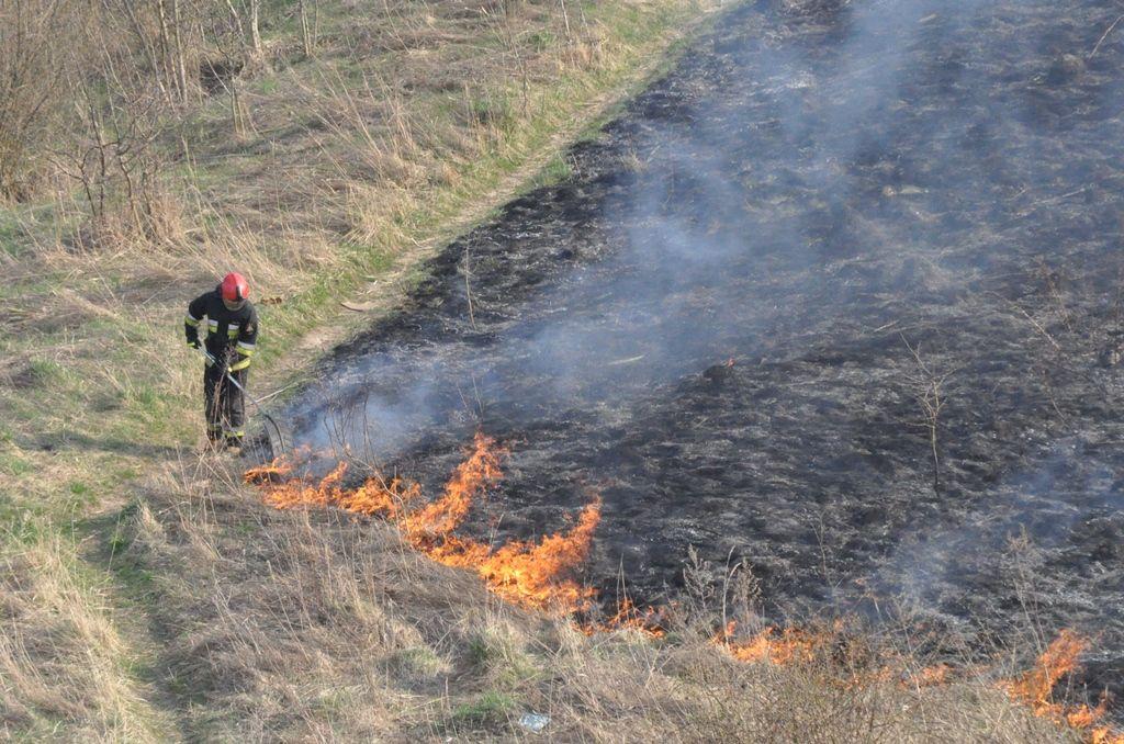 Pożar traw na osiedlu Monte Cassino [ZDJĘCIA]