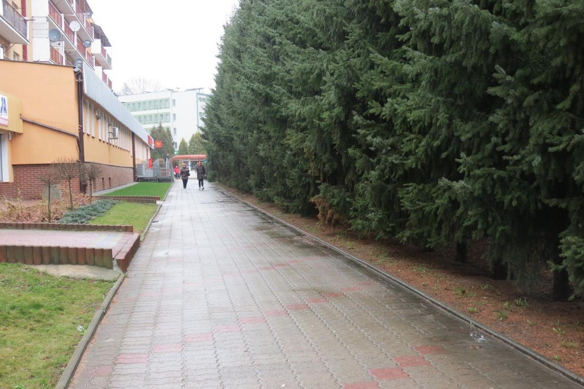 Zboczeniec masturbował się w centrum miasta