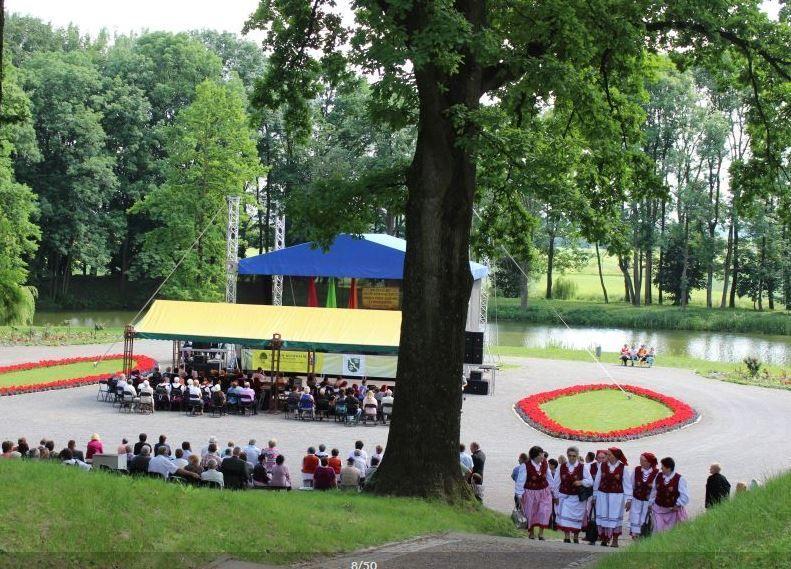 Okazały platan walczy o tytuł Drzewa Roku 