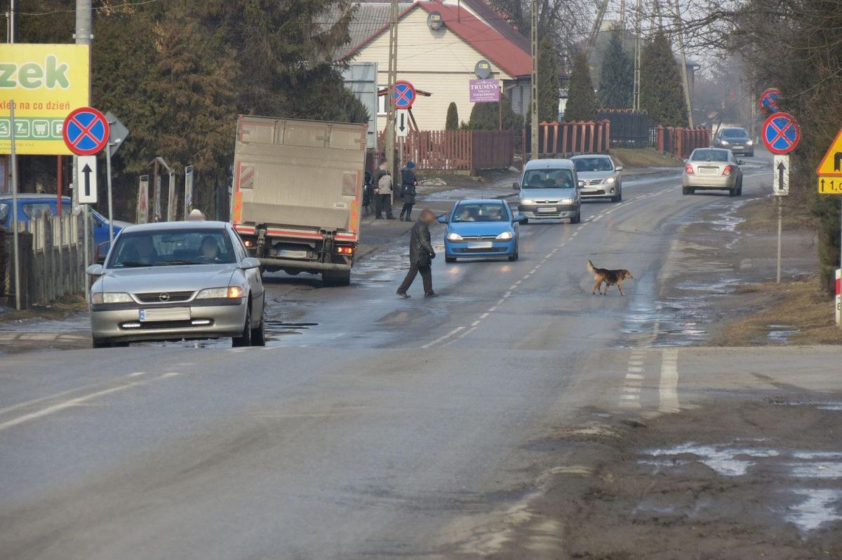 Ulica ruchliwa, ale „zebra” nie wchodzi w grę