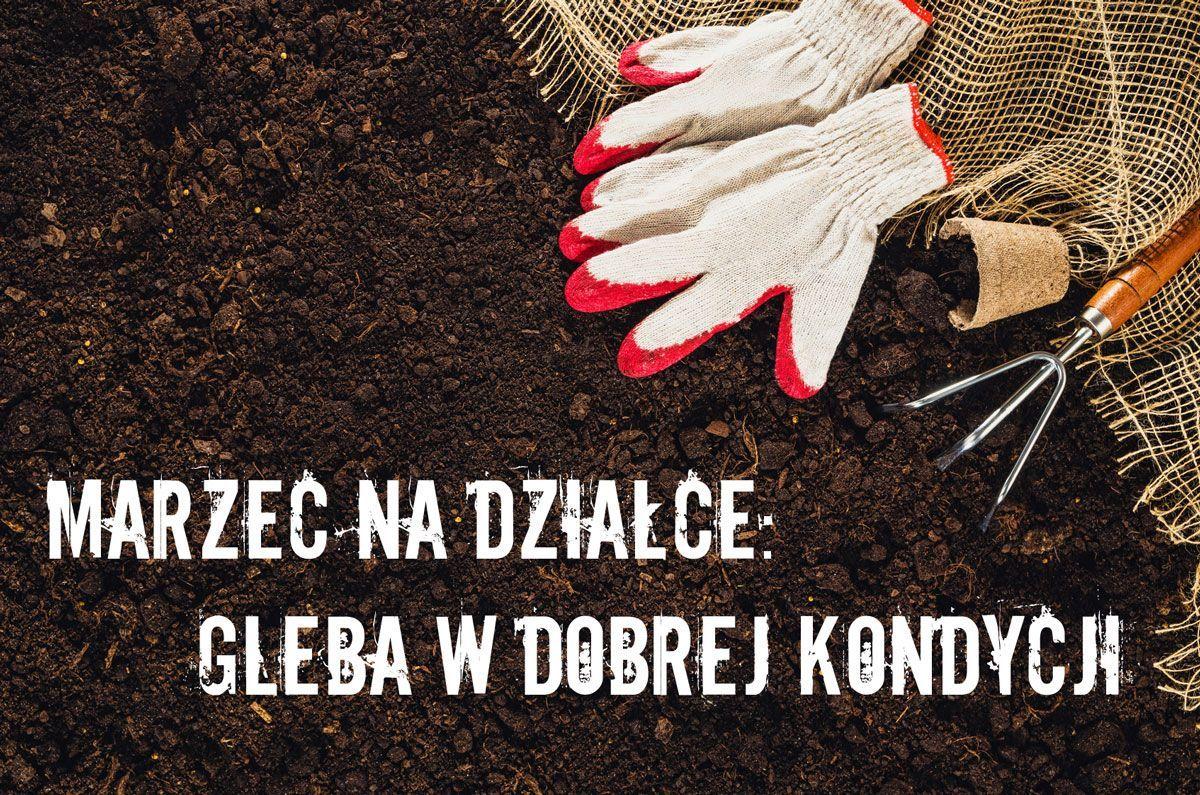 Gleba w dobrej kondycji
