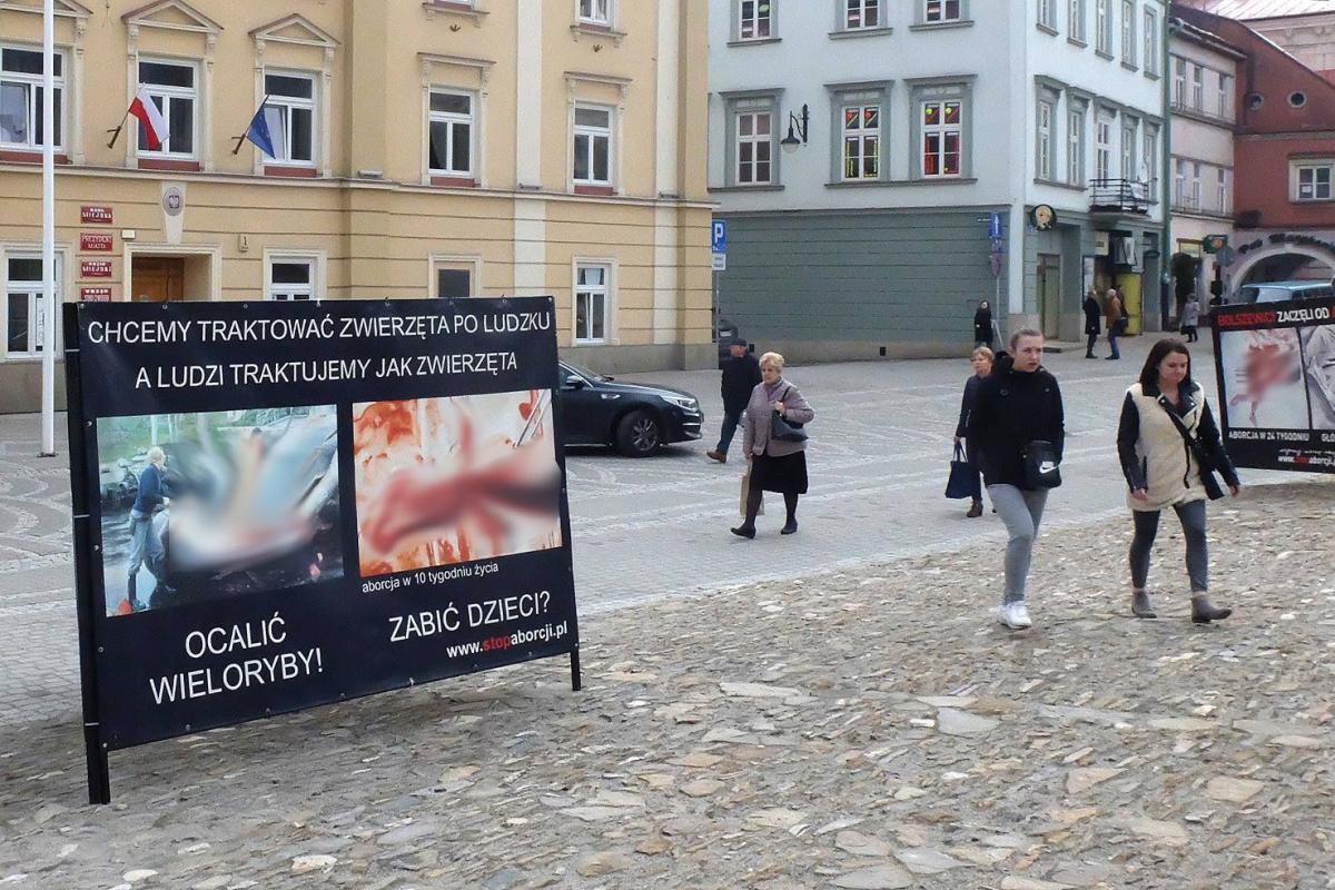 Makabryczna ekspozycja na Rynku [ZDJĘCIA]