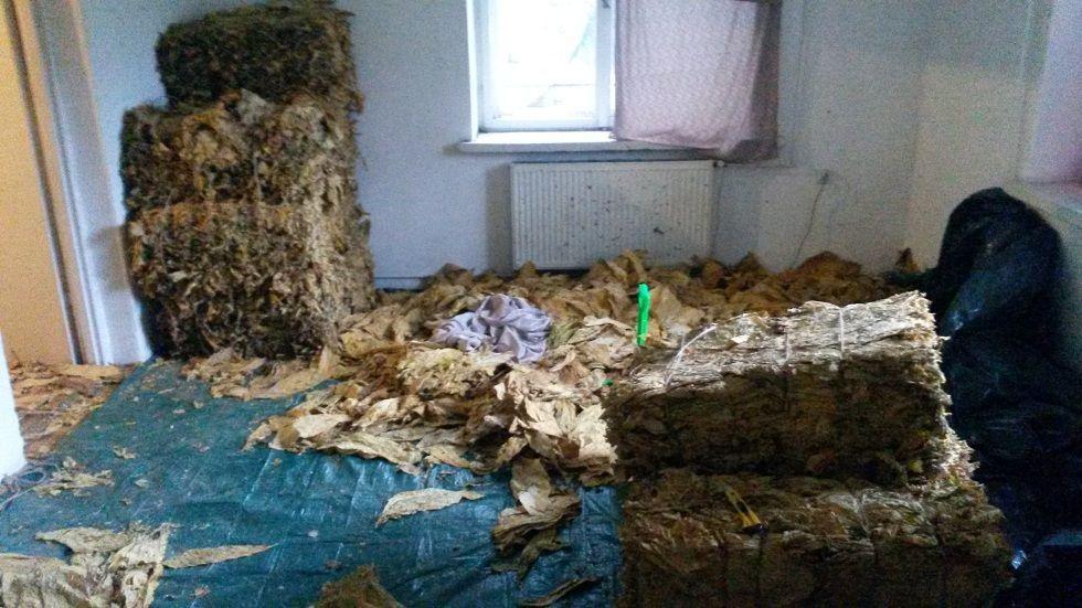 Następni członkowie papierosowego gangu w potrzasku